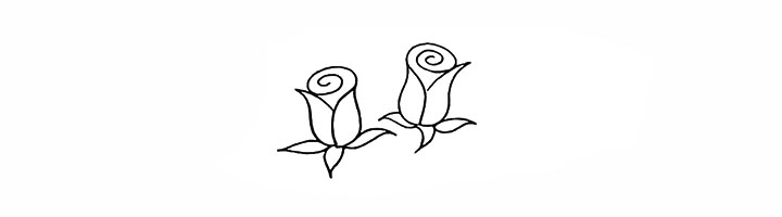 4.同样的画法在左侧画出另一朵玫瑰。