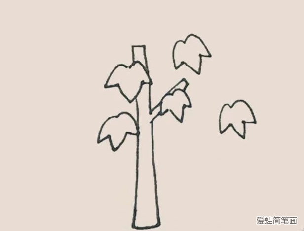 简笔画之枫树