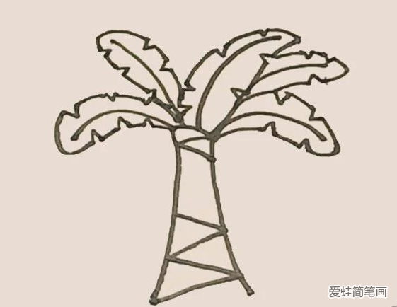 简笔画之芭蕉树