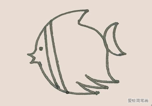 简笔画之热带鱼