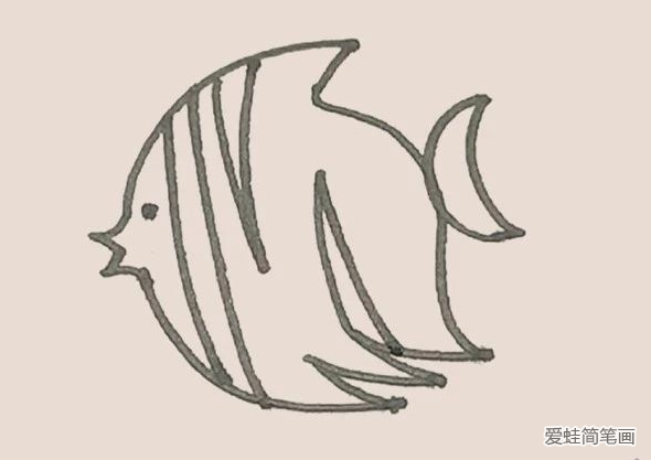 简笔画之热带鱼