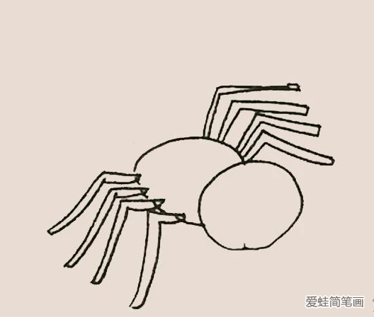 简笔画之蜘蛛