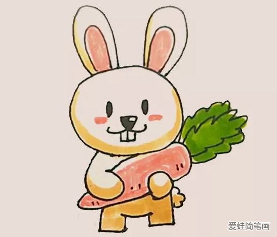 正在吃胡萝卜的小兔子