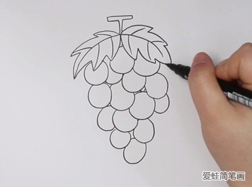 怎么画葡萄简笔画