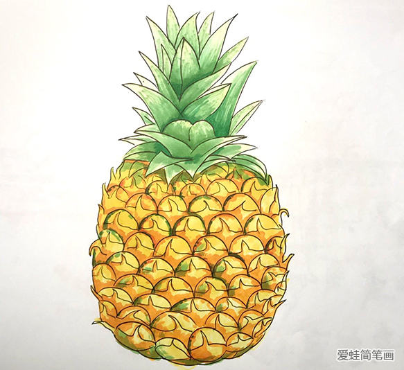 菠萝怎么画简单又好看