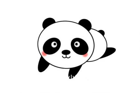 大熊猫宝宝简笔画
