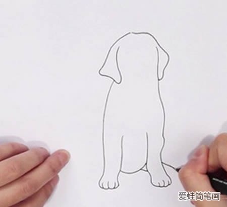拉布拉多犬怎么画简笔画