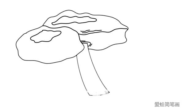密环菌简笔画