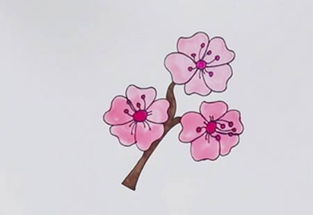 樱花怎么画简单又漂亮