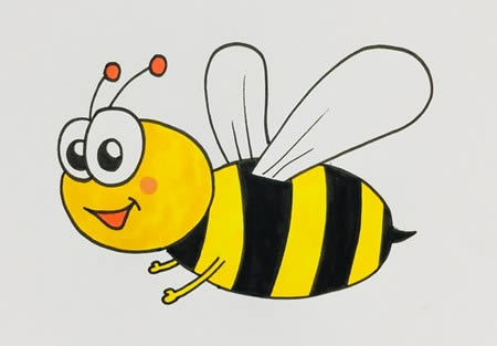 卡通蜜蜂怎么画简单好看