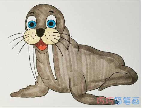 简笔画海狮的画法步骤
