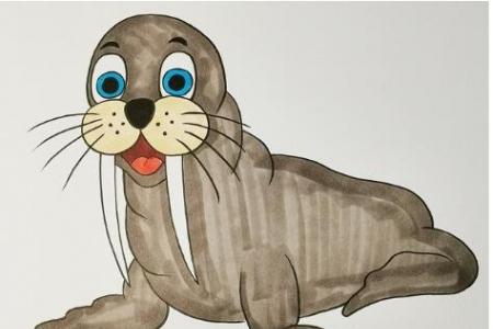 简笔画海狮的画法步骤