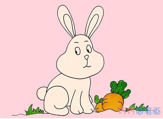 教你一步一步画卡通小白兔