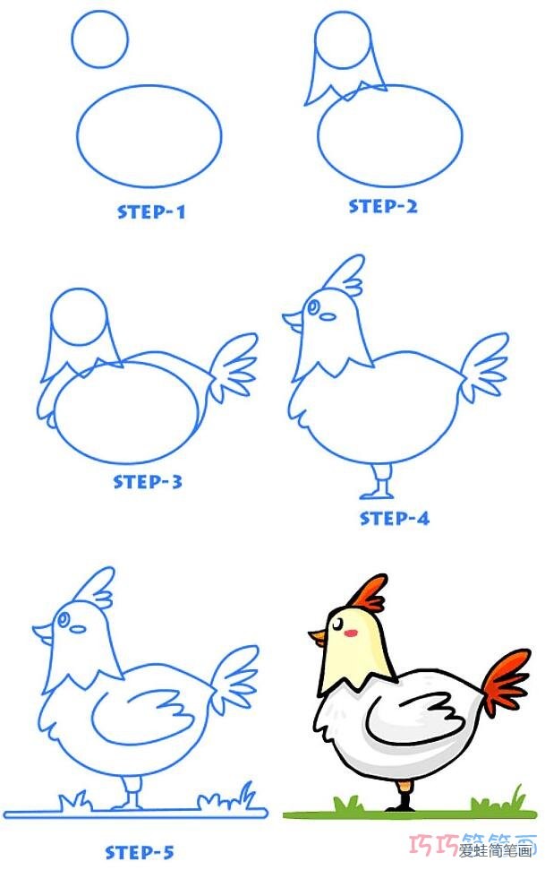 鸡的简单画法图片图片