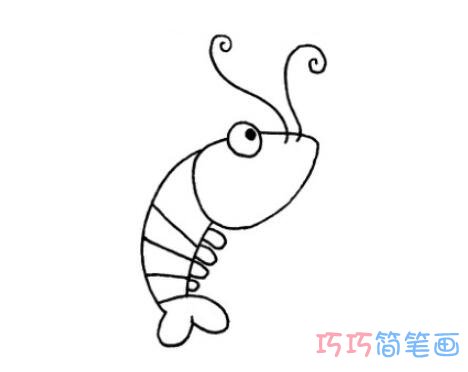 卡通虾的画法手绘步骤图