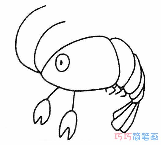 卡通虾怎么画手绘可爱