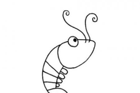 卡通虾的画法手绘步骤图