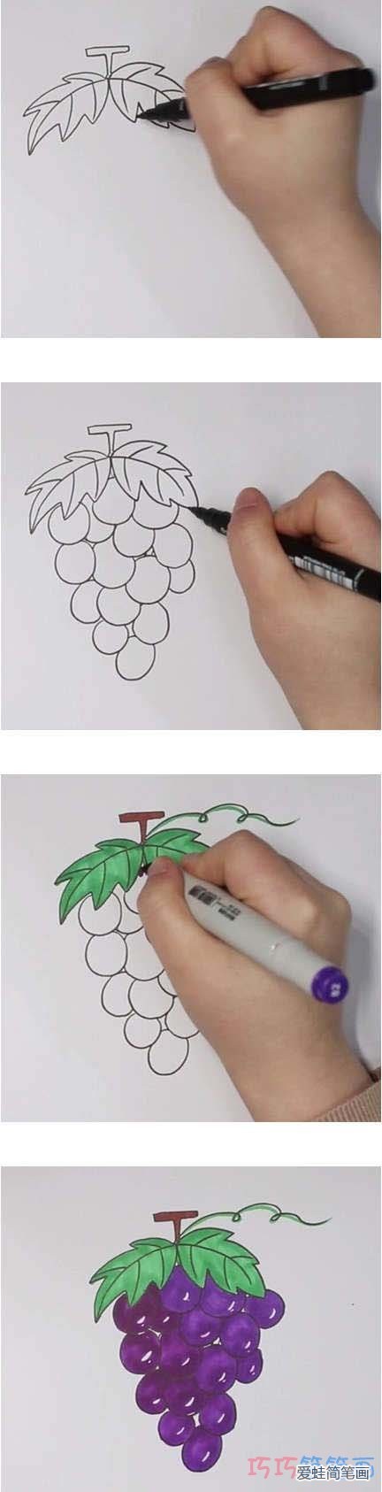 教你怎么画葡萄简笔画