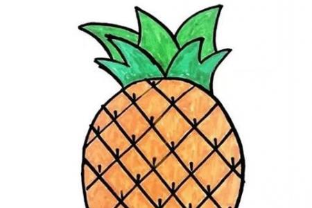 手绘菠萝的画法步骤图带颜色