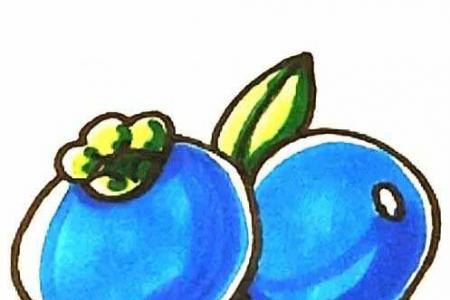 彩色蓝莓怎么画简单好看