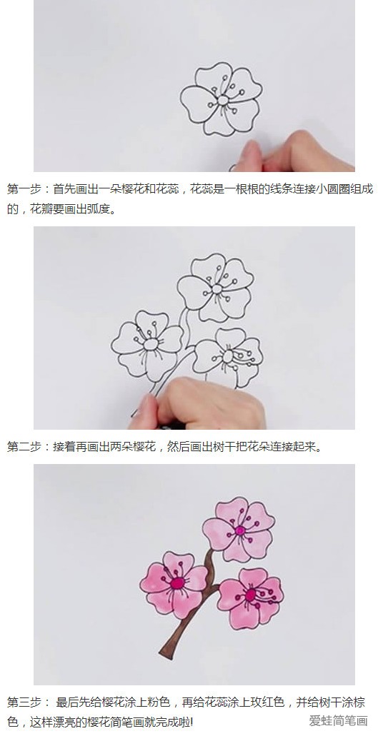 樱花的画法步骤图