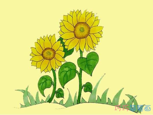教你一步一步手绘向日葵简笔画