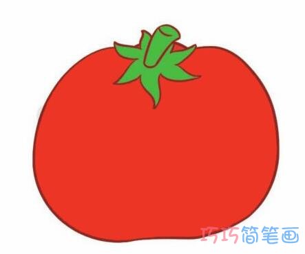 一步一步画西红柿简笔画
