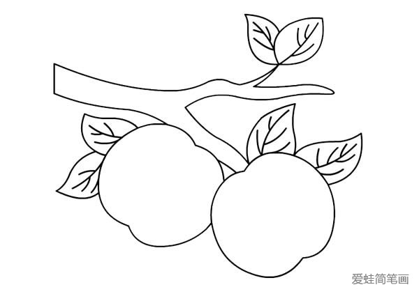 树枝上的桃子简笔画