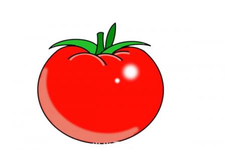 番茄简笔画图片
