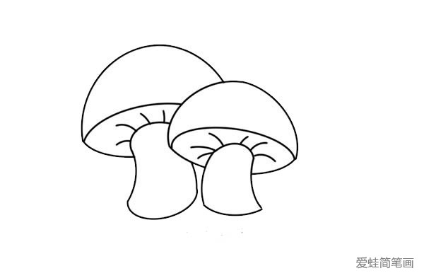 蘑菇图画大全图片