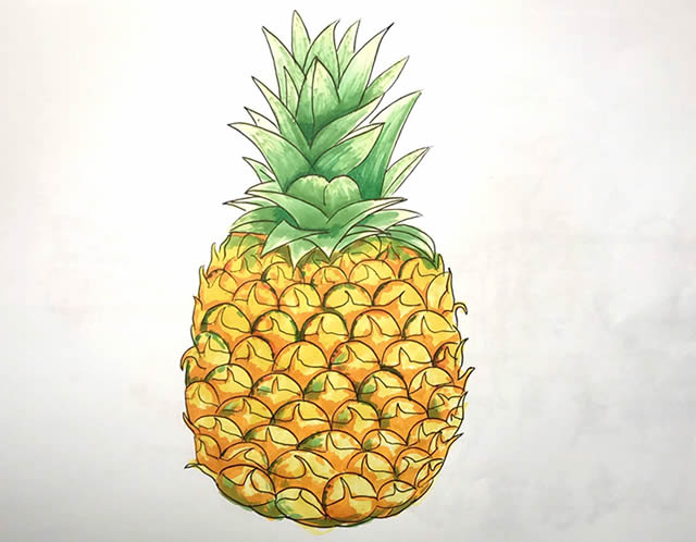 彩色菠萝简笔画