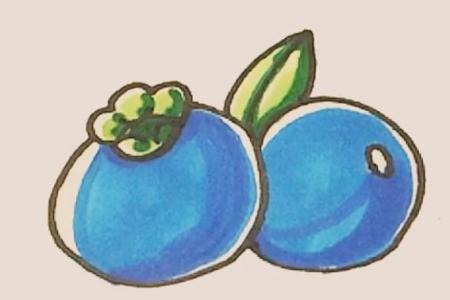 蓝莓简笔画