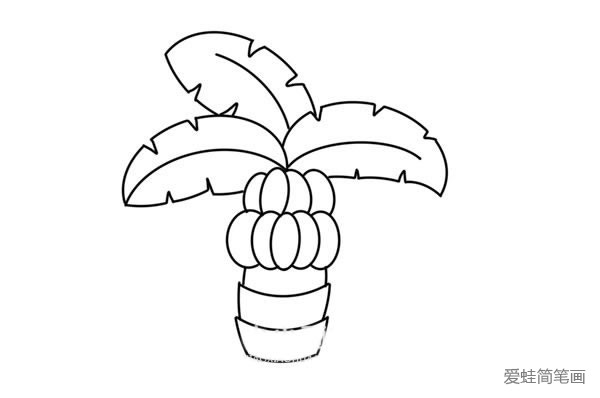 卡通香蕉树简笔画