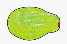 木瓜的简笔画