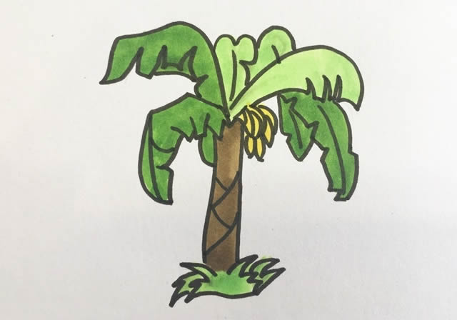 香蕉树简笔画