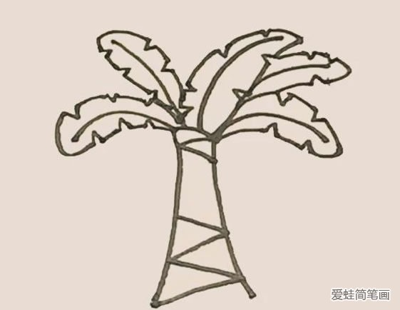 芭蕉树简笔画