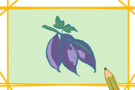 紫薯简笔画