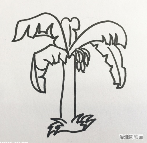 香蕉树简笔画