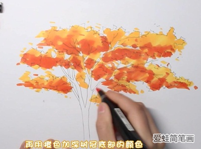 枫树怎么画简笔画