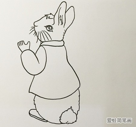 彼得兔简笔画