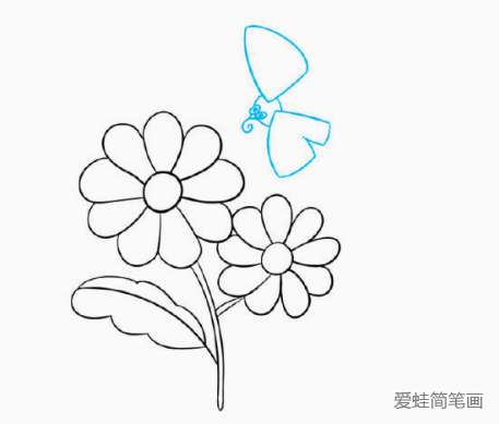 一步一步学画漂亮的菊花简笔画