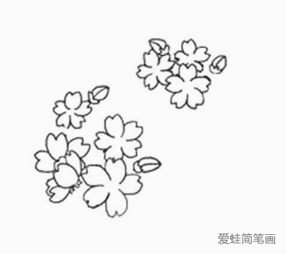 樱花的详细画法图解