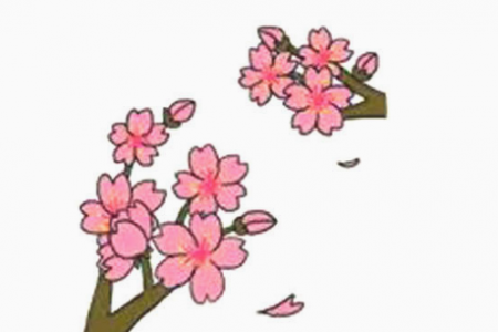 樱花的详细画法图解