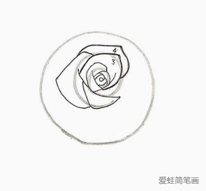 玫瑰花花朵简笔画画法步骤