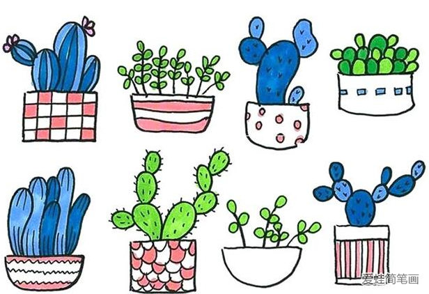 仙人掌小花盆栽植物简笔画图片