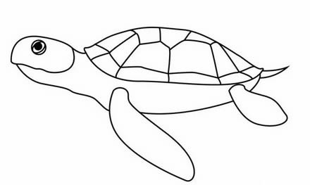 海龟简笔画简单又漂亮步骤图解