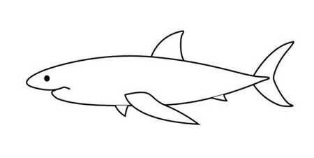 大白鲨简笔画简单画法