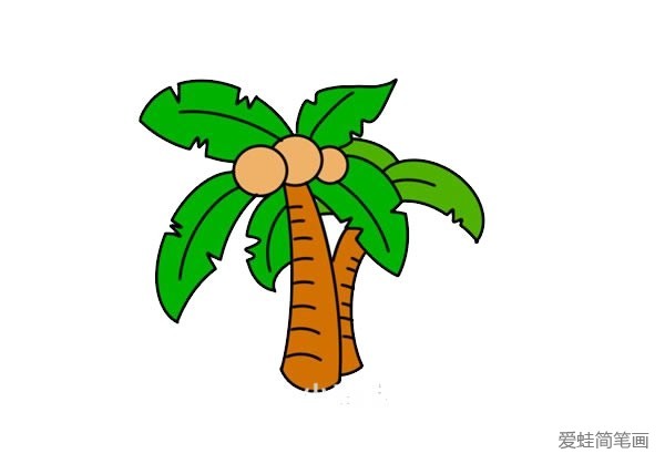 椰子树简笔画的画法