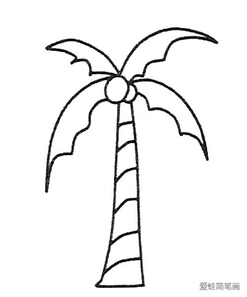 6款椰子树的画法简笔画