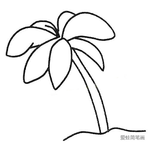 6款椰子树的画法简笔画